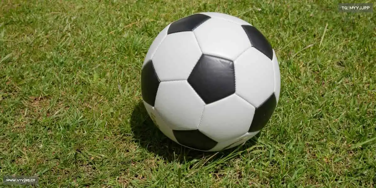 米兰无论输赢,上场就是英雄!👑